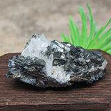 Tetrahedrite & Quartz Specimen~CRTETRAH