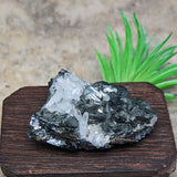 Tetrahedrite & Quartz Specimen~CRTETRAH