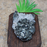 Tetrahedrite & Quartz Specimen~CRTETRAH