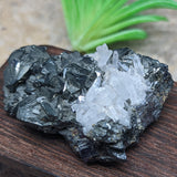 Tetrahedrite & Quartz Specimen~CRTETRAH