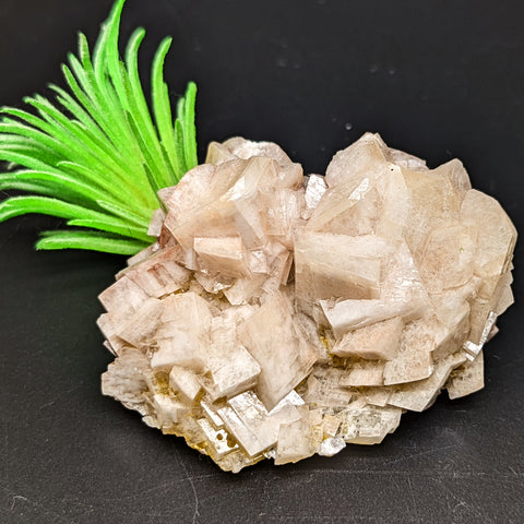 Dolomite Specimen~CRDOLOMI