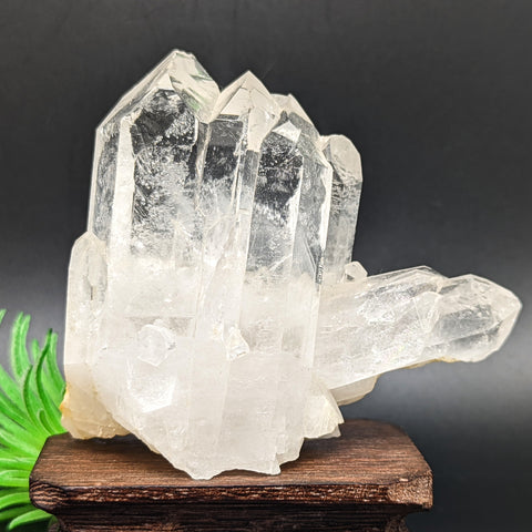 Quartz Crystal Cluster~Switzerland~CRQSWISS