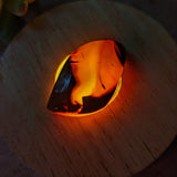 Carnelian Palm Stone~CRCARN02