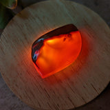 Carnelian Palm Stone~CRCARN05