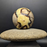 Septarian Nodule Sphere~CRSNPH04