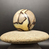 Septarian Nodule Sphere~CRSNPH04