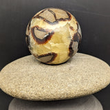 Septarian Nodule Sphere~CRSNPH07