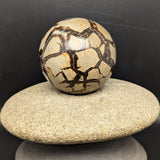 Septarian Nodule Sphere~CRSNPH10