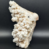 White Aragonite on Matrix Bird Carving~CRQMBRD4