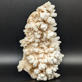 White Aragonite on Matrix Bird Carving~CRQMBRD4