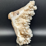 White Aragonite on Matrix Bird Carving~CRQMBRD4