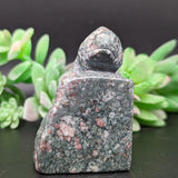 Unakite Lizard Carving~ CRULCAR1