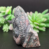 Unakite Lizard Carving~ CRULCAR1