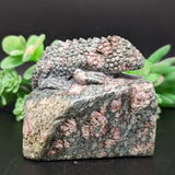 Unakite Lizard Carving~ CRULCAR2