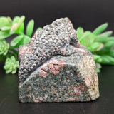 Unakite Lizard Carving~ CRULCAR2