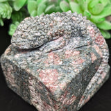 Unakite Lizard Carving~ CRULCAR2