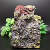 Dragon Stone Lizard Carving~CRDSLCV2