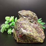 Dragon Stone Lizard Carving~CRDSLCV3