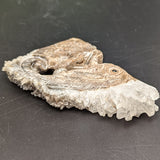 Lizard Carving Quartz on Matrix~CRQMLZD1