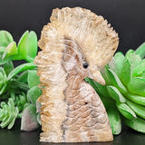 Bird Carving Golden Healer Quartz on Matrix~CRQBRD04