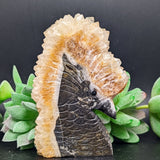 Bird Carving Golden Healer Quartz on Matrix~CRQBRD07