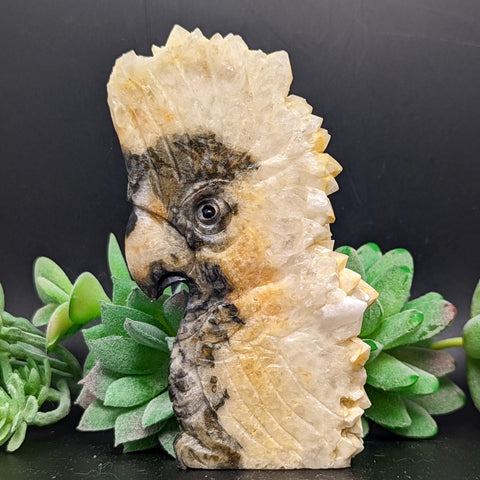 Bird Carving Golden Healer Quartz on Matrix~CRQBRD08