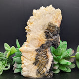 Bird Carving Golden Healer Quartz on Matrix~CRQBRD08