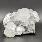 Apophyllite Specimen~CRAPOS04