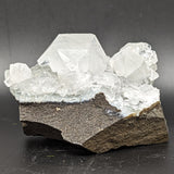 Apophyllite Specimen~CRAPOS04