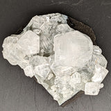 Apophyllite Specimen~CRAPOS04