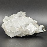 Apophyllite Specimen~CRAPOS13