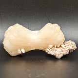 Stilbite Specimen~CRSTIL08