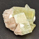 Green Apophyllite Specimen~CRGAPOS1