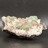 Green Apophyllite Specimen~CRGAPOS2