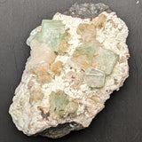 Green Apophyllite Specimen~CRGAPOS2