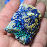 Azurite /Malachite Specimen~CRAZML04