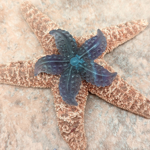 Fluorite Starfish~ CRFLSTRS