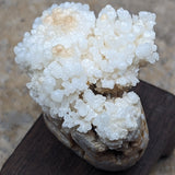 Calcite on Matrix Skull Carvings~CRCSKLLC