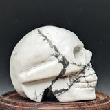 Howlite Skull~CRHSKULL