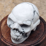 Howlite Skull~CRHSKULL