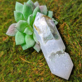 Moss Agate Druzy Wand~CRMADW04