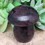 Garnet in Arfvedsonite Mushroom Carving~CRGARFMM