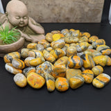 Tumbled Bumblebee Jasper~TUMBBJAS