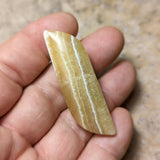 Yellow Calcite Palm Stone~CRYCPS01