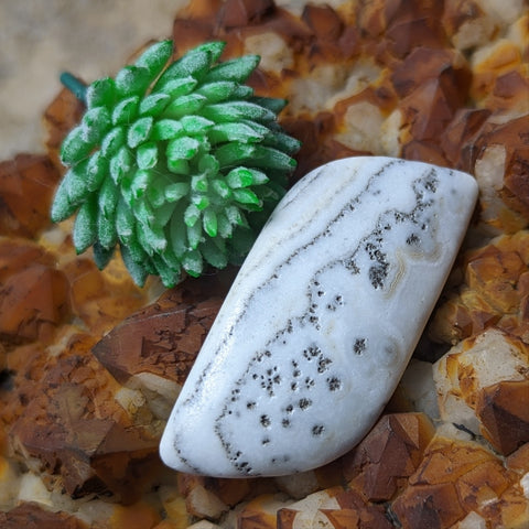 Dendritic Yellow Calcite Palm Stone~CRDYCP02