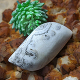 Dendritic Yellow Calcite Palm Stone~CRDYCP08