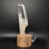 Polished Quartz Crystal in Wood Stand~CRQCWS30