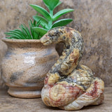 Lace Agate Cobra~CRACOBRA