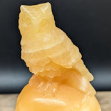 Yellow Calcite "Owl on Skull" Carving~CRYCOOSC