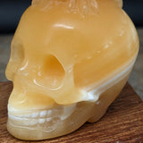 Yellow Calcite "Owl on Skull" Carving~CRYCOOSC